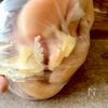 ささみ丸ごと!衣付けも簡単♪【ささみ和風ごまダレカツ】の工程3
