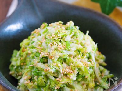 春キャベツのやみつき ごまだれサラダ 作り置き お弁当 レシピサイト Nadia ナディア プロの料理家のおいしいレシピ