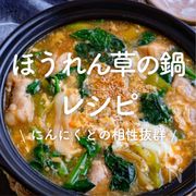「ほうれん草の鍋」25選｜にんにくとの相性抜群