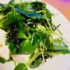 rieの作ってみた!投稿(塩昆布が決め手！『三つ葉と豆腐の和風サラダ』)