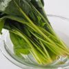 【野菜嫌いでもOK】レンジでやみつき！ほうれん草の旨塩ナムルの下準備