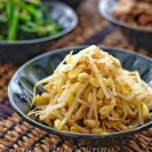 基本の豆もやしナムル【コンナムル】