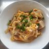 はるにゃんこの作ってみた!投稿(染みうま♡『なんちゃって親子丼』~高野豆腐の卵とじ~)