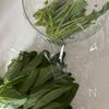 レンジで簡単『ほうれん草のネギだれ和え』の工程1