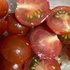 1103098の作ってみた!投稿(トマトのサラダ〜粒マスタードドレッシング)