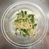 包丁いらず&レンジで完了!もやしのナンプラーあえの工程3