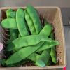 くたくたが絶品♪モロッコいんげんのバター醤油炒めの工程1