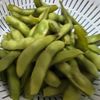 けいぞうの作ってみた!投稿(裏ワザで劇的に美味しい!枝豆の茹で方)