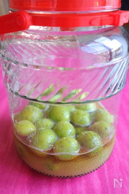 きび砂糖でつくる梅シロップ 梅ジュース By おおもと のりこ 大本紀子 レシピサイト Nadia ナディア プロの料理家のおいしい レシピ