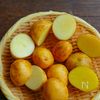味しみ新じゃがと手羽元の照り煮の工程1