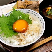 漬け卵ごはん