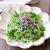 【和えるだけ3分】じゃこ梅がヤバ旨！シャキシャキ水菜サラダ
