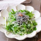 【和えるだけ3分】じゃこ梅がヤバ旨！シャキシャキ水菜サラダ