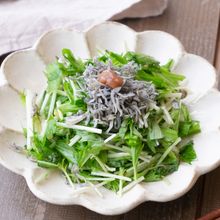 【和えるだけ3分】じゃこ梅がヤバ旨!シャキシャキ水菜サラダ