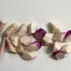 【日野菜のバター蒸し】甘みを引き出してさらにおいしく♪の工程1