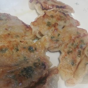 翔ママの作ってみた!投稿(ミシュランの味!肉汁洪水焼き餃子の決定版)