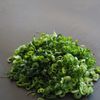 皮まで味わう、葱だく大根。の工程1