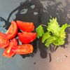 【光熱費ゼロ！防災レシピ】サバ缶とトマトの冷やし中華うどん　の工程1