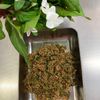 そら・ゆずの作ってみた!投稿(花穂紫蘇の佃煮（だし＆醤油）)