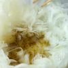新玉ねぎと生ハムのマリネの工程2
