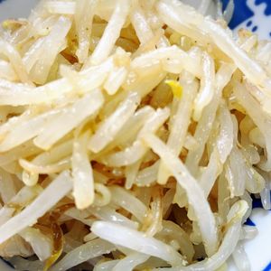 ひまわりの作ってみた!投稿(5分で!もやしナムル。レンジで簡単おつまみ、あと一品の副菜。)