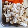 【簡単♪鮭ときのこのみぞれ煮】の工程1