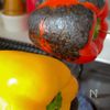 パプリカのマリネの工程1