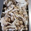 リピート確定！絶品！【鮭ときのこの炊き込みご飯】の工程3