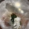 【しっとり鶏胸肉が最高】とりむねの磯部焼きの工程2