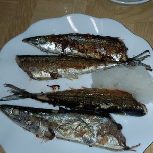 チッチの作ってみた!投稿(フライパンで簡単！さんまの塩焼き)