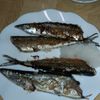 チッチの作ってみた!投稿(フライパンで簡単!さんまの塩焼き)