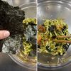 春キャベツとキムチの海苔サラダの工程4