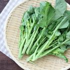 大人の味覚♡ 菜の花の季節がやってきた！