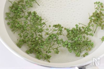 1年保存可 万能スパイス 実山椒の下処理 アク抜き By 三浦ユーク レシピサイト Nadia ナディア プロの料理家のおいしいレシピ