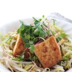 厚揚げと春キャベツの照り焼きソース仕立て