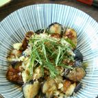 薬味たっぷりでどうぞ！揚げなす