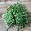 【コスパ抜群!栄養満点!豆苗ともやしのナムル】5分副菜♪の下準備