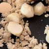 里芋と玉ねぎの鶏そぼろあんかけの工程2