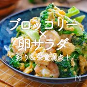 「ブロッコリー×卵サラダ」20選｜彩り＆栄養満点！