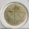milkの作ってみた!投稿(栄養とれて腹持ちよし♪【抹茶バナナ蒸しパン】)