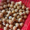 ひよこ豆のスパイス炒めの下準備