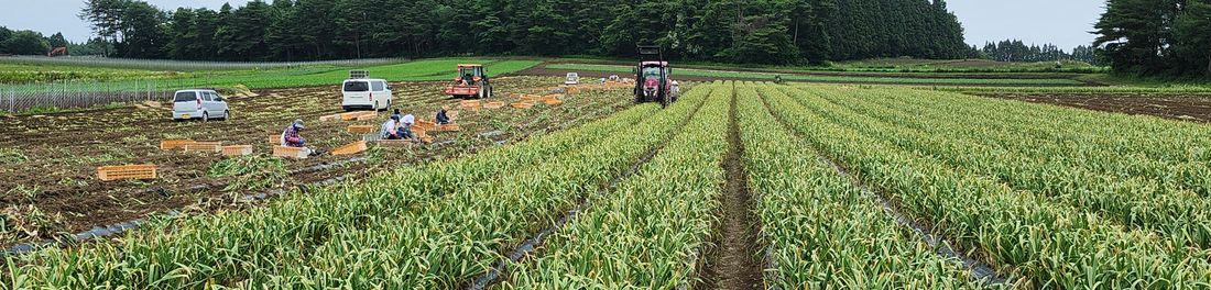＼野菜オタク管理栄養士が作る/　心も体も整う野菜レシピ