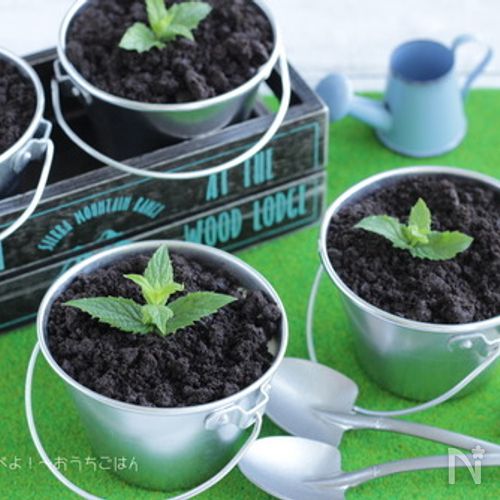 鉢植えレアチーズケーキ