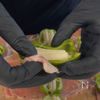 美味すぎてブラジルまでほっぺが落ちる【豚マヨ】の工程1