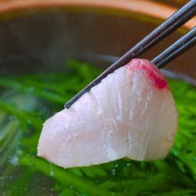 【とろける美味しさ】自家製柚子だれで食べる『ブリしゃぶ』