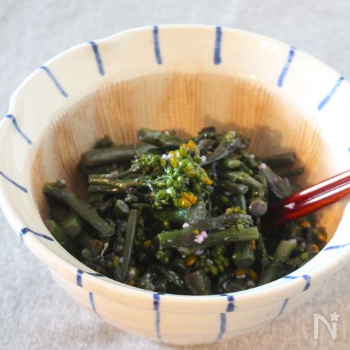 【10分で春副菜♪】紅菜苔の塩麹ナムル