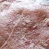 百均のあれで!レンジで簡単♪米粉チョコロールの工程5