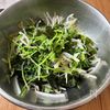 【コスパ抜群!栄養満点!豆苗ともやしのナムル】5分副菜♪の工程3