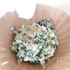 レンジで簡単】春菊と豆腐の中華風白あえの工程5