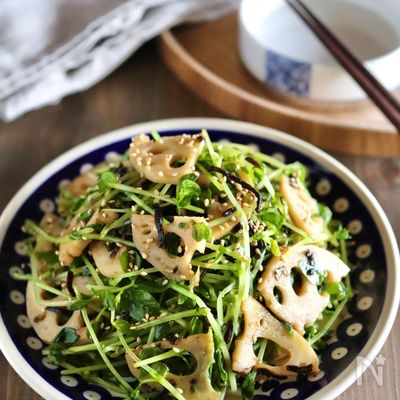 簡単時短*れんこんと豆苗の塩昆布ナムル